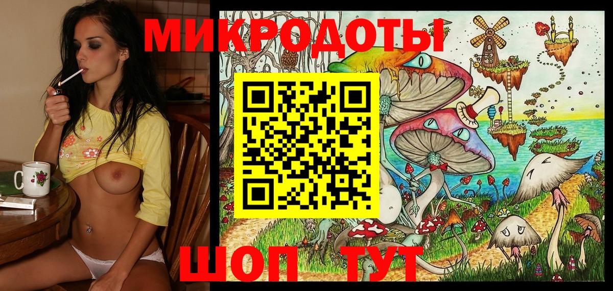 Галлюциногенные грибы Psilocybe Новомосковск