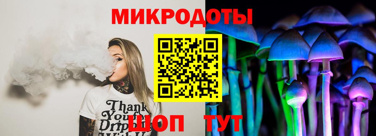 Новомосковск  Галлюциногенные грибы Psilocybe  наркотики  Вход с VPN  Псилоцибиновые грибы мухоморы 